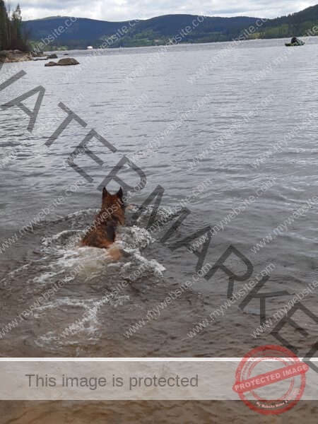 Eyka Kurzurlaub Schluchsee, Mai 2024 - 010