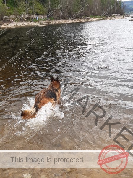 Eyka Kurzurlaub Schluchsee, Mai 2024 - 011
