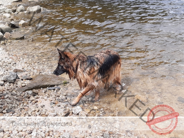 Eyka Kurzurlaub Schluchsee, Mai 2024 - 012