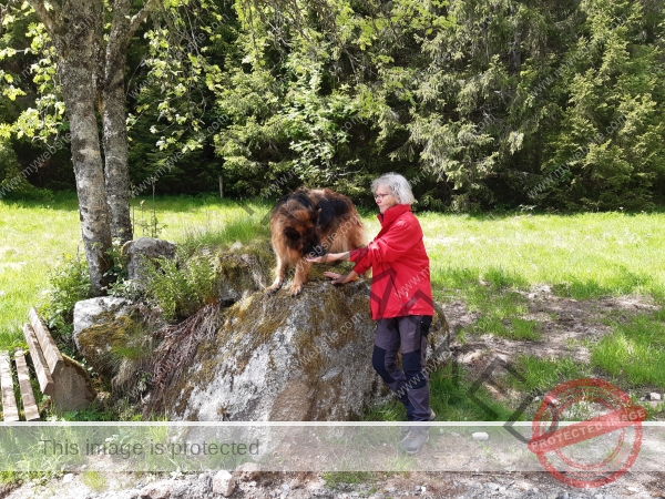 Eyka Kurzurlaub Schluchsee, Mai 2024 - 015