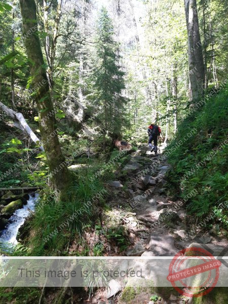 Eyka Kurzurlaub Schluchsee, Mai 2024 - 017