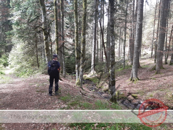 Eyka Kurzurlaub Schluchsee, Mai 2024 - 021