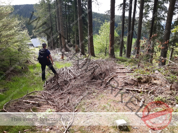 Eyka Kurzurlaub Schluchsee, Mai 2024 - 022