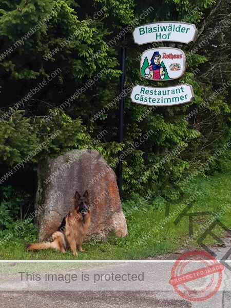 Eyka Kurzurlaub Schluchsee, Mai 2024 - 025