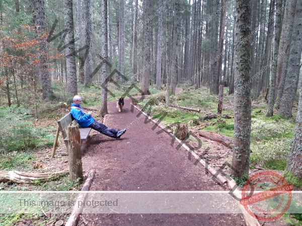 Eyka Kurzurlaub Windgfällweiher, Nov. 2024 - 001
