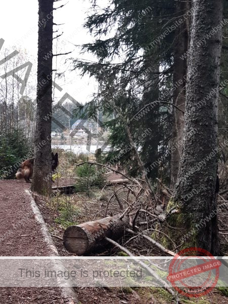 Eyka Kurzurlaub Windgfällweiher, Nov. 2024 - 002