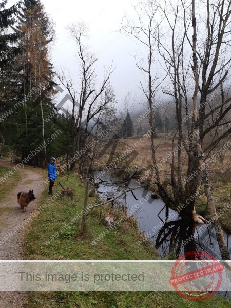 Eyka Kurzurlaub Windgfällweiher, Nov. 2024 - 004