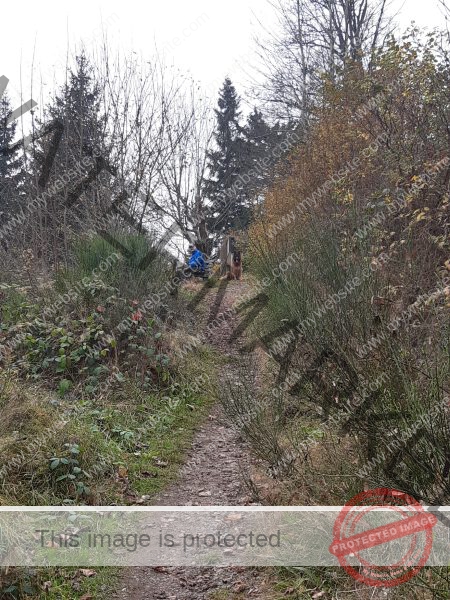 Eyka Kurzurlaub Windgfällweiher, Nov. 2024 - 005