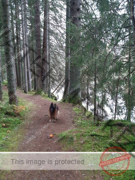 Eyka Kurzurlaub Windgfällweiher, Nov. 2024 - 006