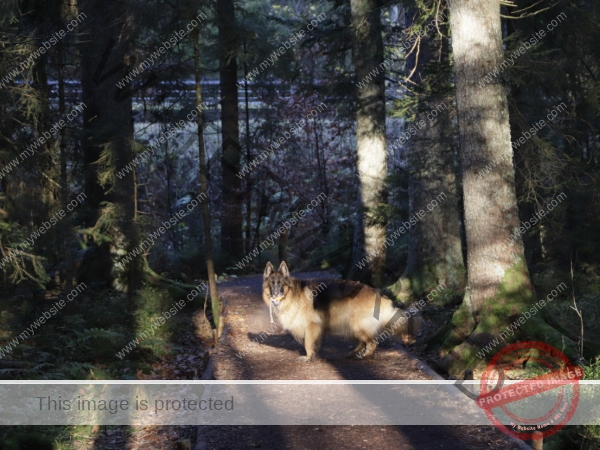 Eyka Kurzurlaub Windgfällweiher, Nov. 2024 - 009