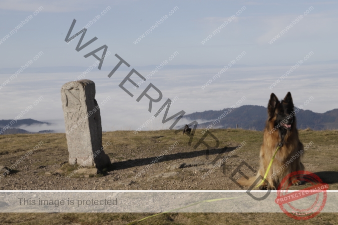 Eyka Kurzurlaub Windgfällweiher, Nov. 2024 - 017