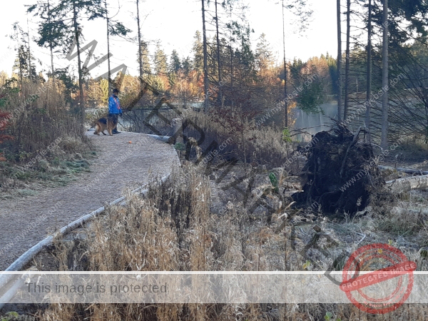 Eyka Kurzurlaub Windgfällweiher, Nov. 2024 - 024