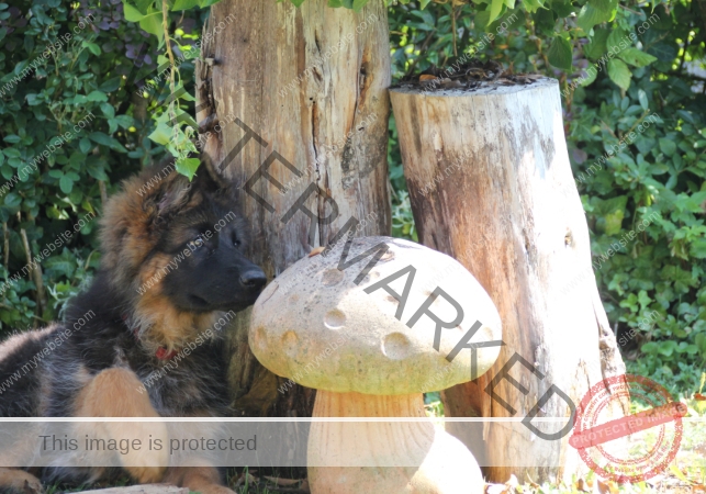 Eyka versteckt 002