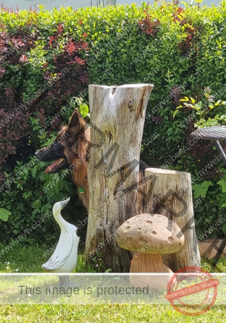 Eyka versteckt 006