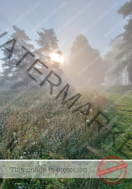 Eyka versteckt 007