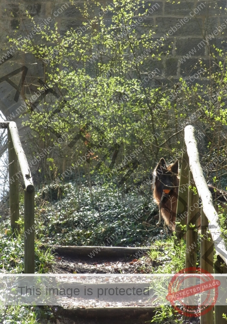 Eyka versteckt 014