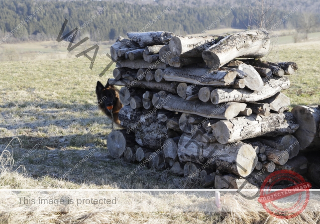 Eyka versteckt 012