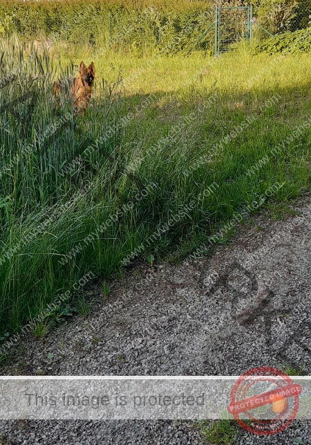 Eyka versteckt 017