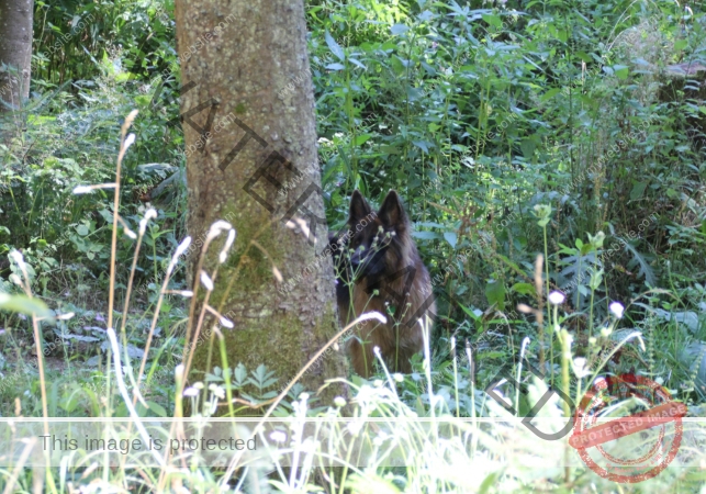 Eyka versteckt 025