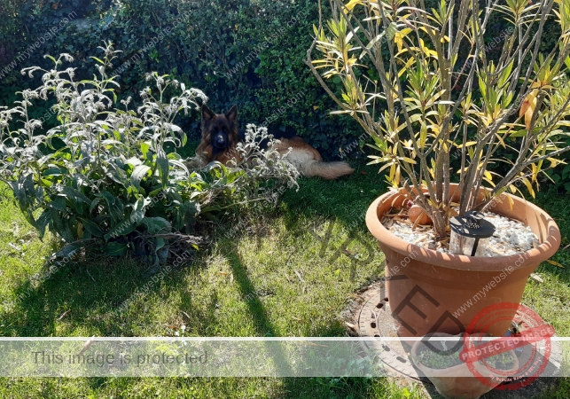 Eyka versteckt 008