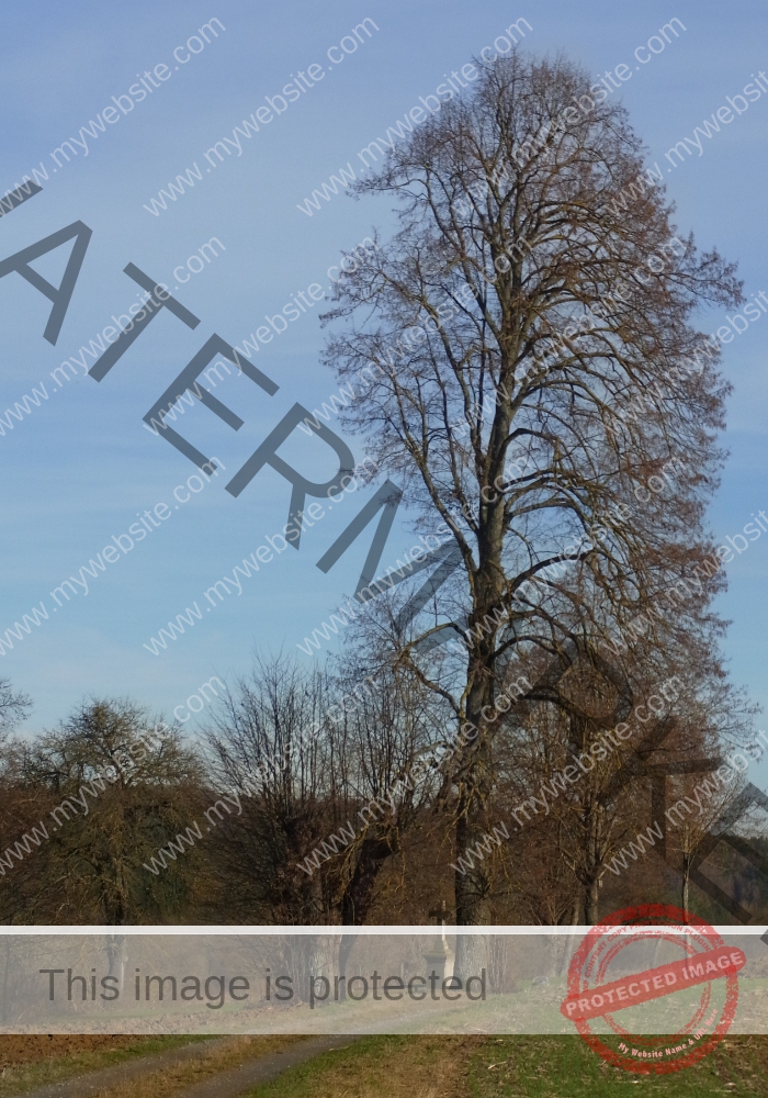 ruh - hinterm Baumarkt u. Ried 03
