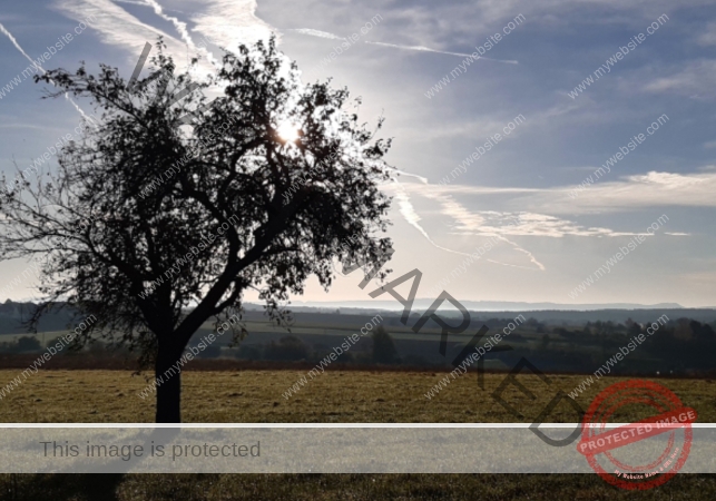 hinterm Baumarkt_2024-10-27 -019