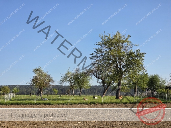 ruh - hinterm Baumarkt 178