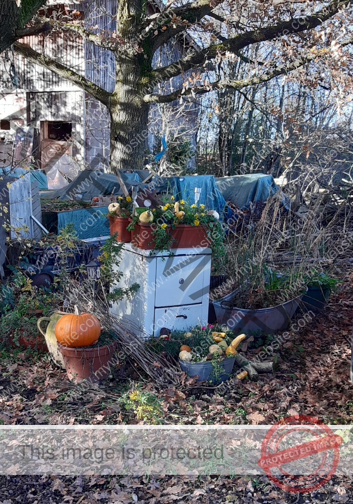 ruh - hinterm Baumarkt 70
