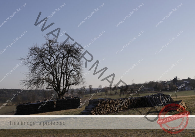 ruh - hinterm Baumarkt u. Ried 25