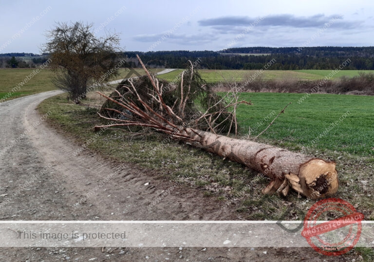 ruh - hinterm Baumarkt 90