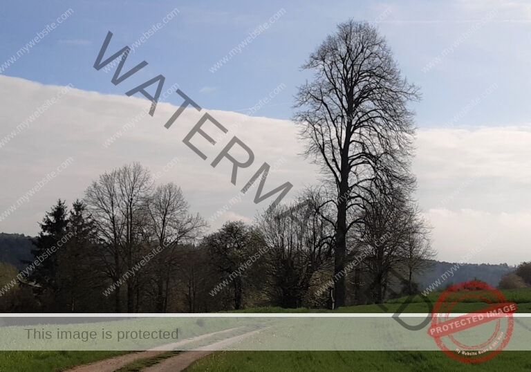 ruh - hinterm Baumarkt 97