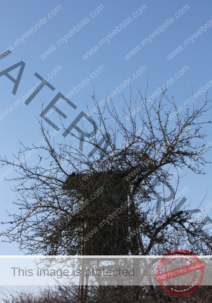 ruh - hinterm Baumarkt u. Ried 10h
