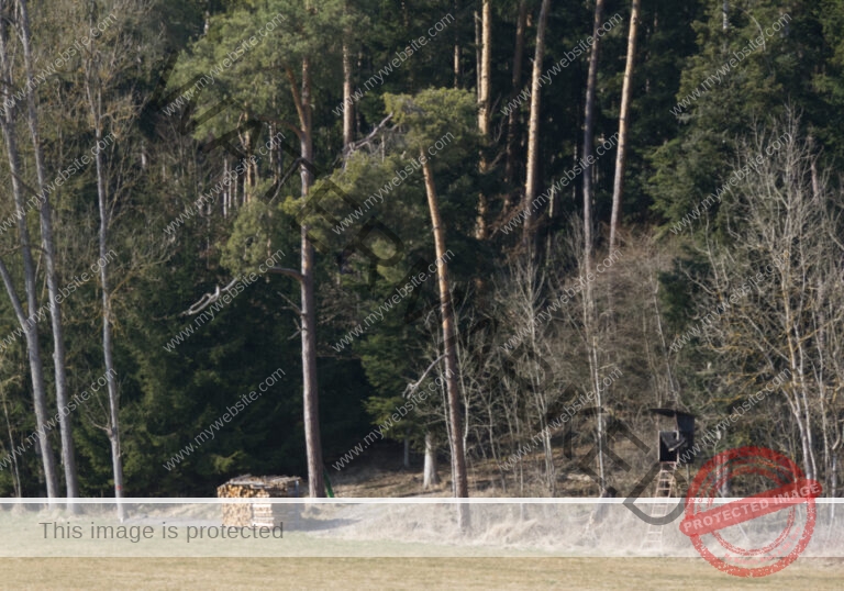 ruh - hinterm Baumarkt u. Ried 36