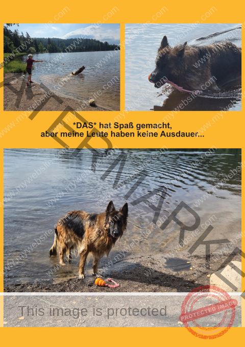 Eyka Kurzurlaub Windgfällweiher, Aug. 2025 - 03 (Klein)