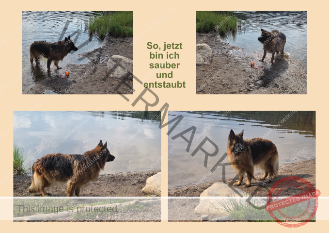 Eyka Kurzurlaub Windgfällweiher, Aug. 2025 - 04 (Klein)