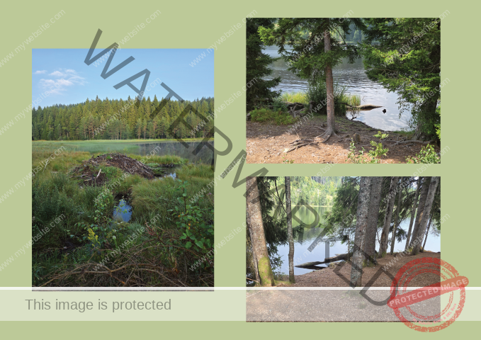 Kurzurlaub Windgfällweiher _Fotoalbum2- 02 (Klein)