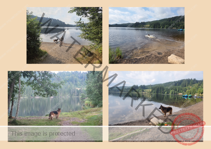 Kurzurlaub Windgfällweiher _Fotoalbum2- 03 (Klein)