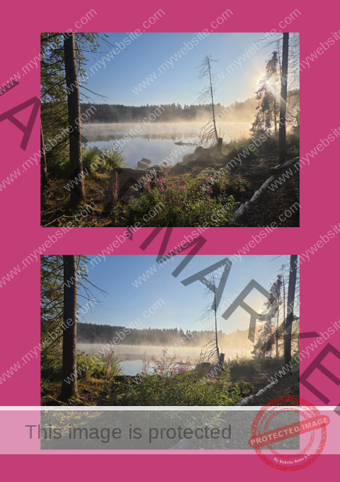 Kurzurlaub Windgfällweiher _Fotoalbum2- 04 (Klein)