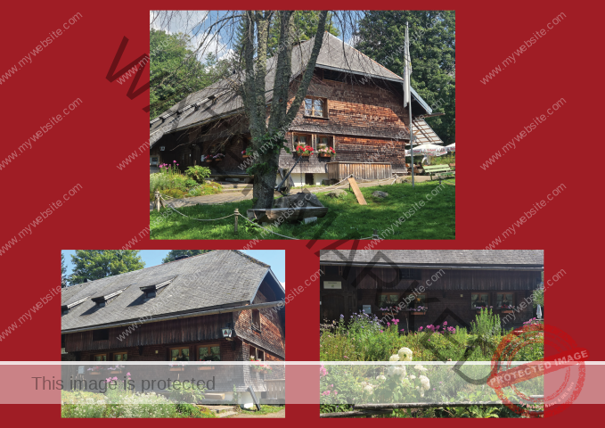 Kurzurlaub Windgfällweiher _Fotoalbum2- 07 (Klein)