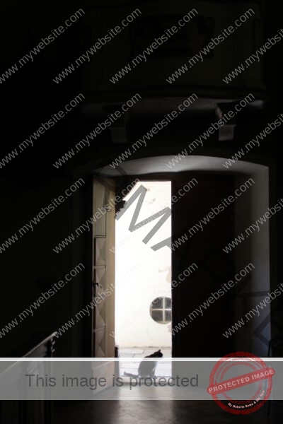 LB Tiere, Ledrosee -01