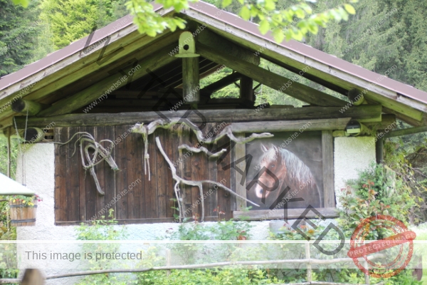 LB Tiere, Ledrosee -05