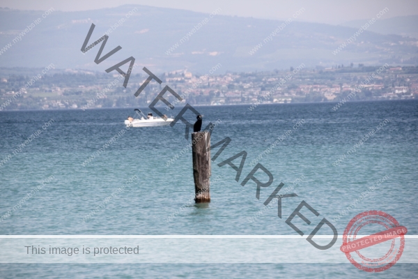 LB Tiere, Ledrosee -07