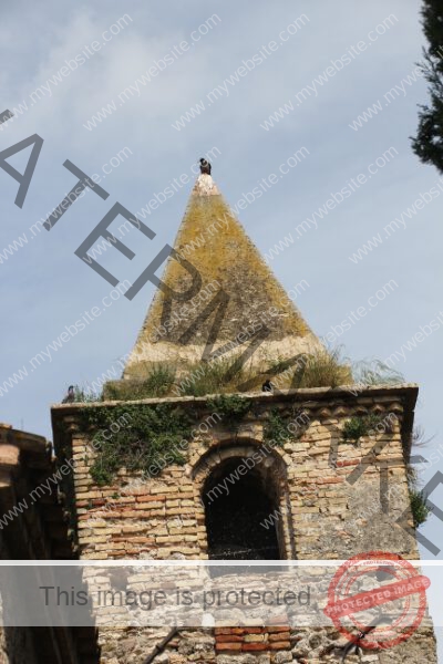 LB Tiere, Ledrosee -10