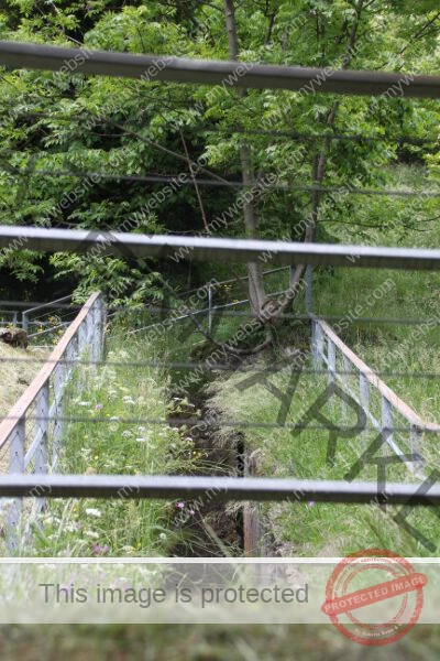 Ledrosee 2025-05-16 -0357