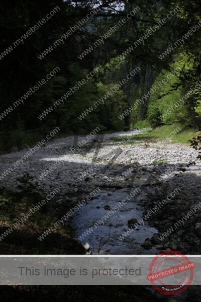 Ledrosee 2025-05-17 -0522