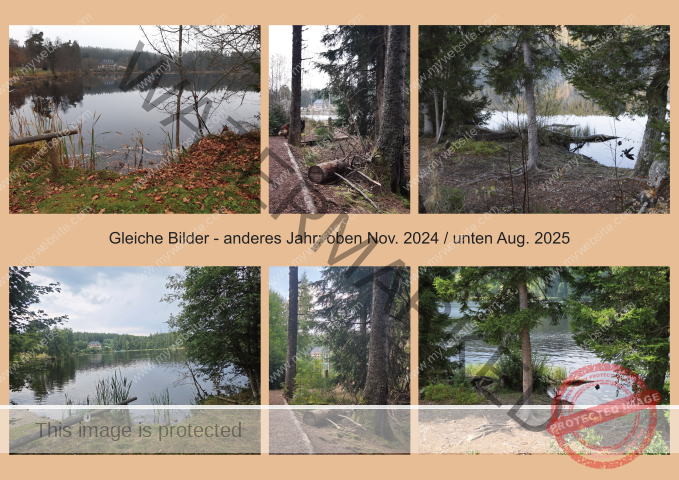 Windgfällweiher-Veränderung (Klein)