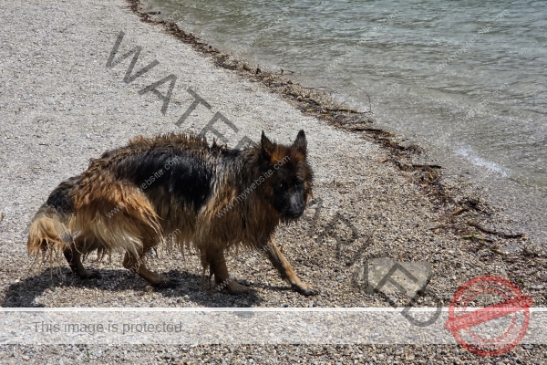 Eyka, Ledrosee -024