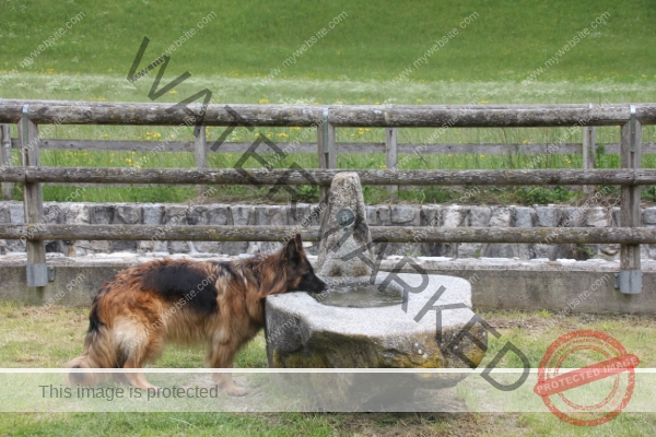 Eyka, Ledrosee -053