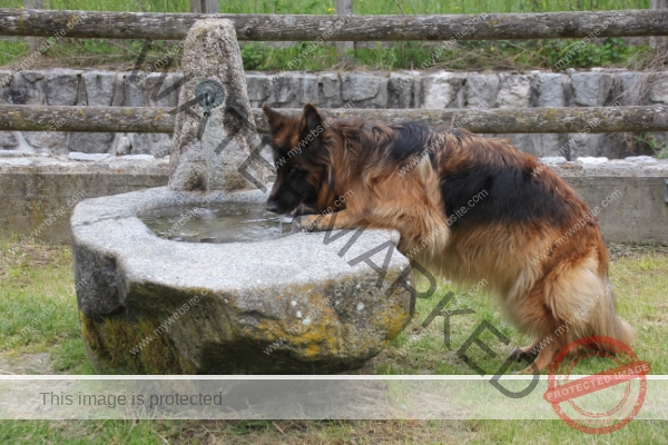 Eyka, Ledrosee -054