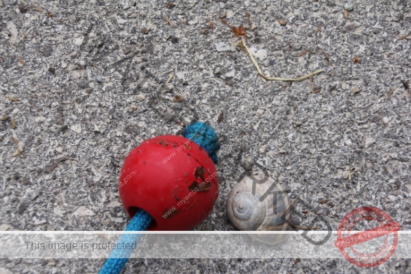 wetten, dass die den Ball nicht kriegt?